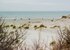 Campings - Aan de Noordzee
