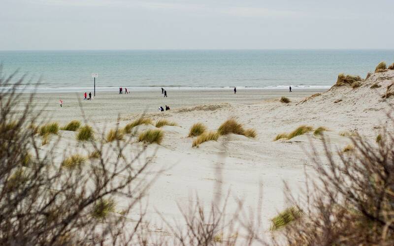 Im Strandurlaub in Holland