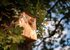 Campings - Drents Friese Wold